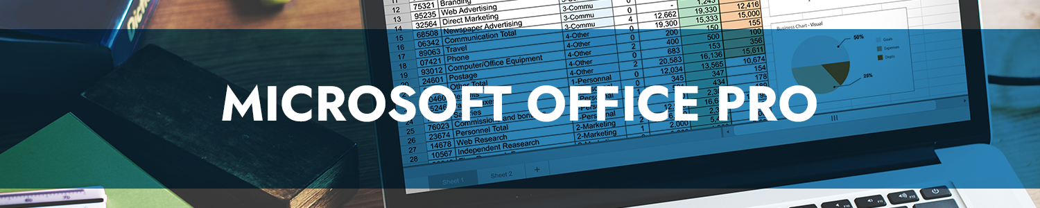 Microsoft Office Pro