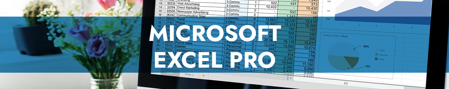 Microsoft Excel Pro